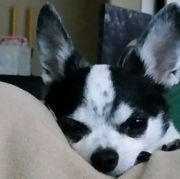 Meet your Posher, Tim - Picture 1 of 1